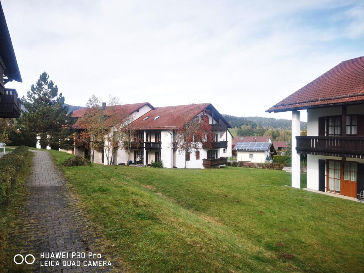 Aparthotel Chrysantihof - Bayerische Wald-Weber تزفيسل المظهر الخارجي الصورة