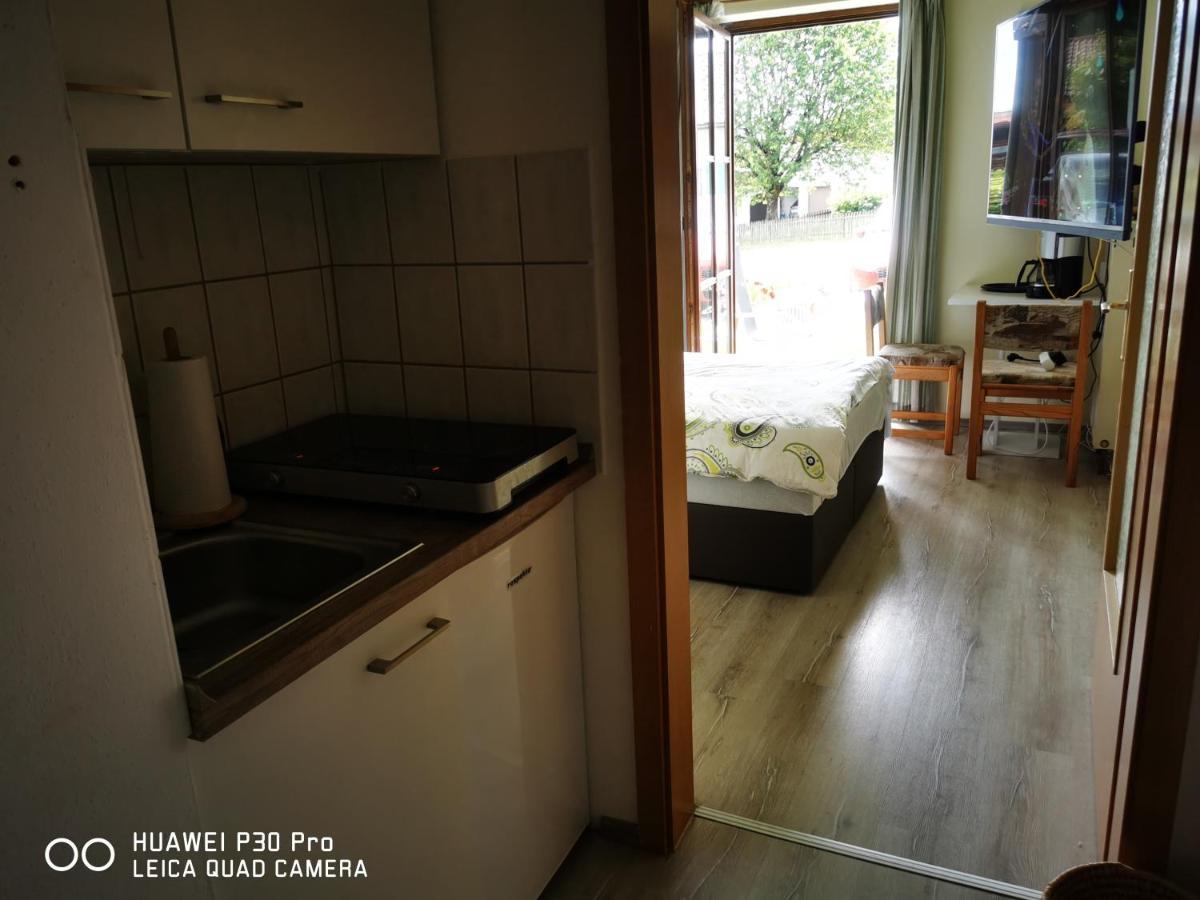 Aparthotel Chrysantihof - Bayerische Wald-Weber تزفيسل المظهر الخارجي الصورة